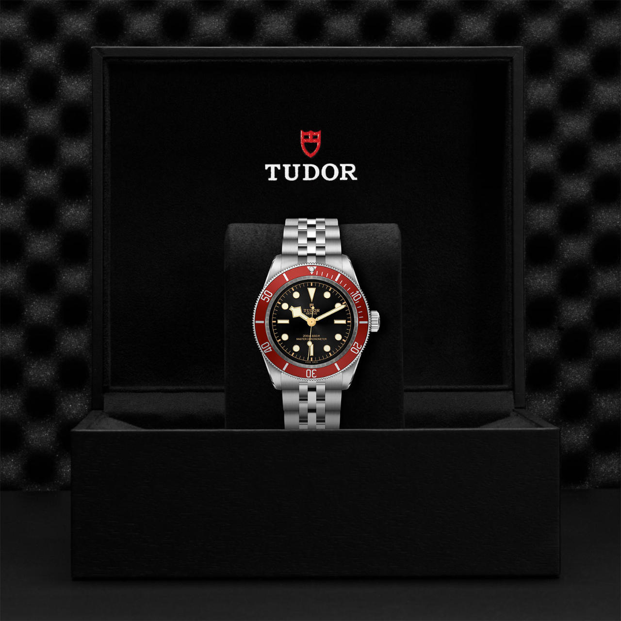 Tudor Black Bay M7941A1A0RU 0003 Maison Birks